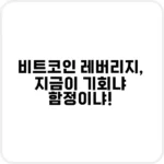 비트코인 레버리지 잃지 않는 노하우