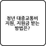 청년 대중교통비 지원 신청 팁