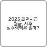2025 최저시급 월급 계산법