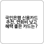 국민 은행 신용 카드 추천 - 2025년 추천 카드 정리