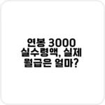 연봉 3000 실수령액 계산 예시
