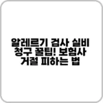 알레르기 검사 실비 청구 방법