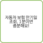 동차 보험 만기일 조회, 갱신 타이밍 놓치면?