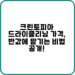 크린토피아 드라이클리닝 가격, 3일 만에 받을 수 있다고?